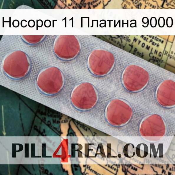 Носорог 11 Платина 9000 18.jpg